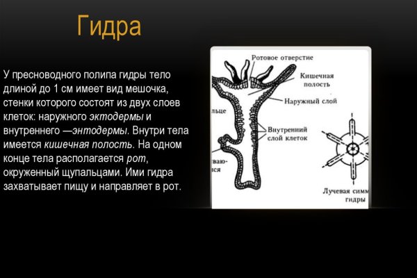 Даркнет сайт скачать