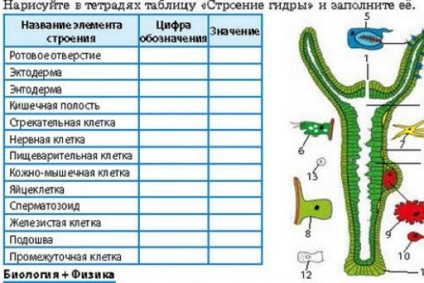 Ссылка на кракен через тор