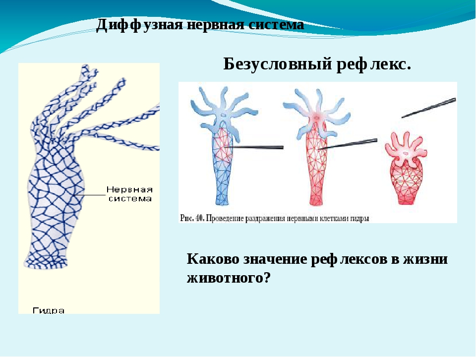 2krn сс