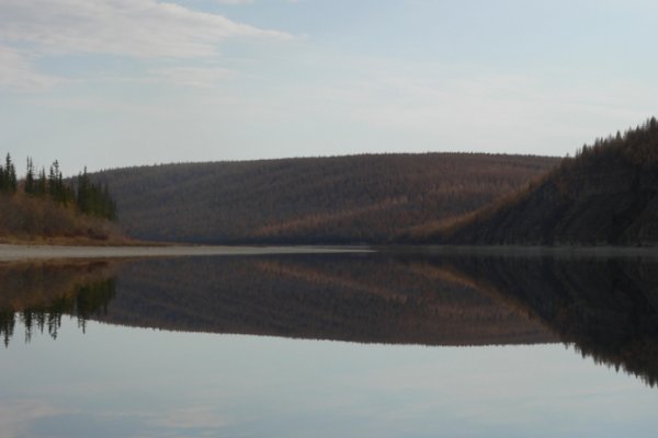 Ссылки мега кракен