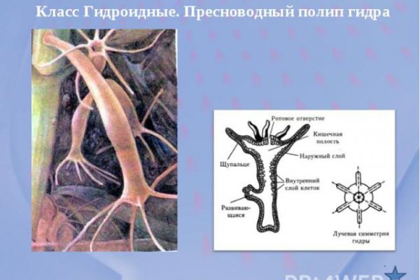 Как вывести деньги с кракена тор