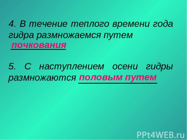 Как зарегистрироваться на сайте кракен